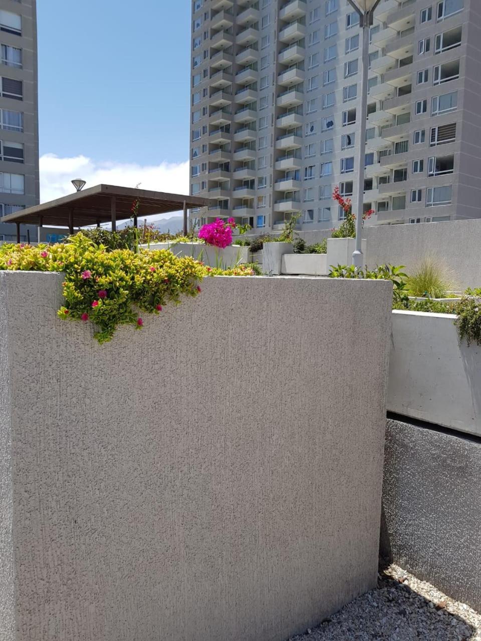 Hermoso Departamento Con Vista Al Mar Antofagasta Kültér fotó